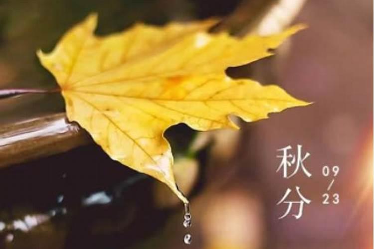 秋分养生注意事项有哪些