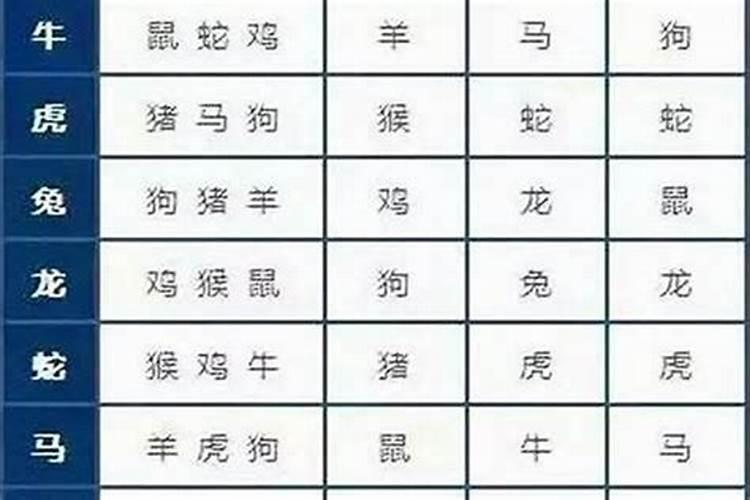 属蛇的和什么属相最配和相克？