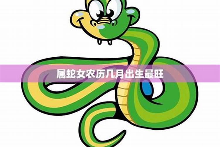 1965年阴历八月十二巳时出生的女人一生的运势