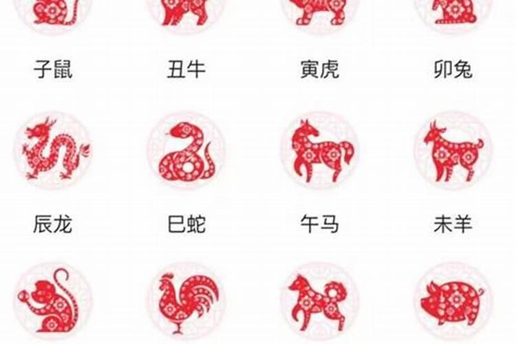 属狗和属牛夫妻婚姻如何 属狗属牛夫妻如何化解