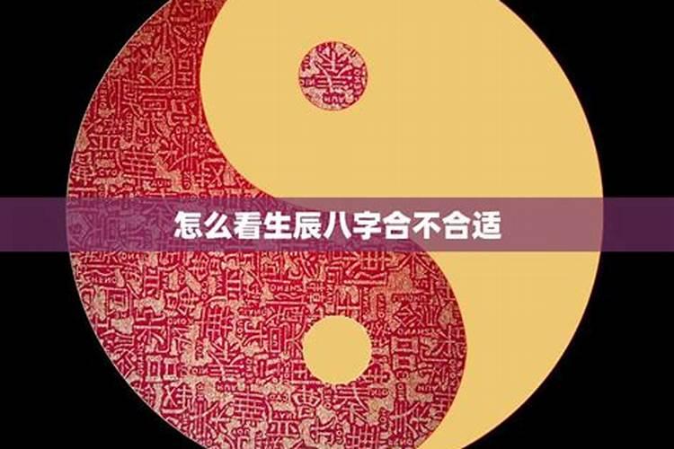 属兔的遇到鼠年好不好,鼠年对属兔的人怎么样