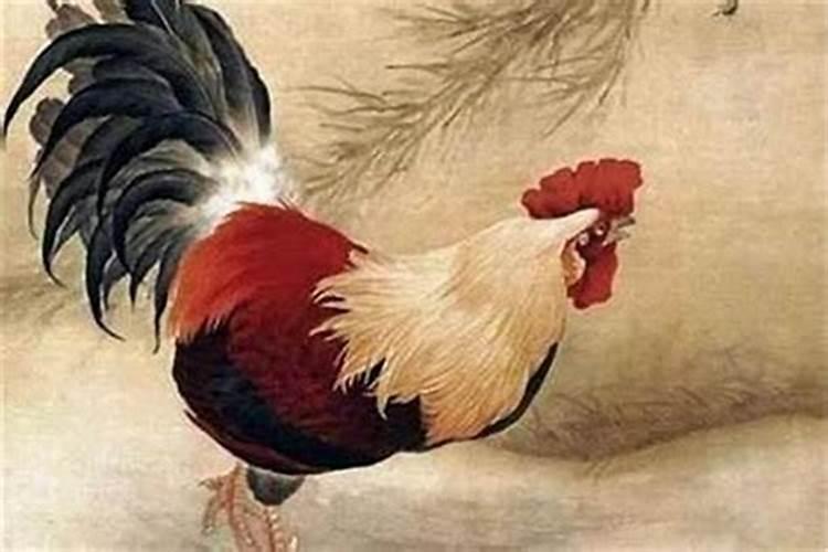 如何判断自己是金木水火土命