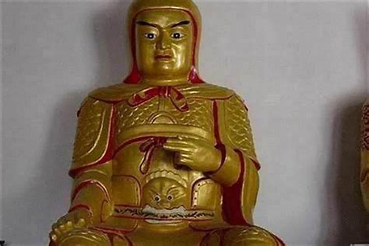 太岁长得像什么？有弹性吗？