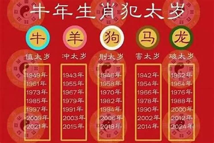 属兔和属狗的合得来吗