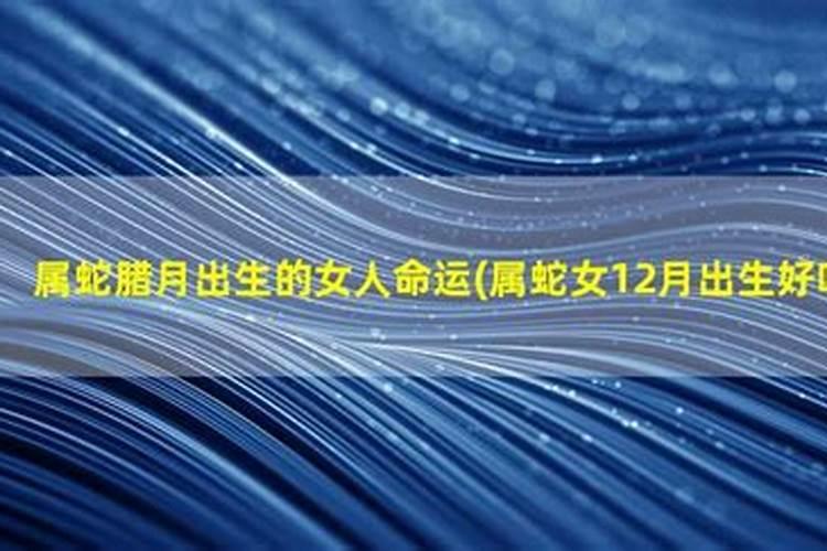 属蛇十二月出生的命运