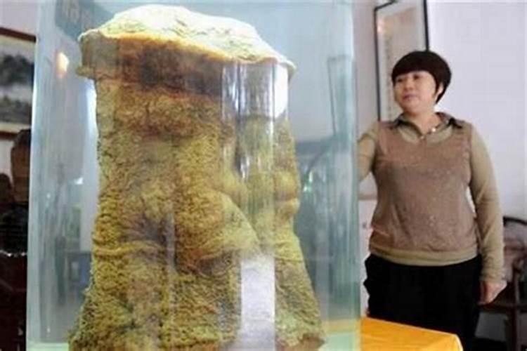 什么是太岁