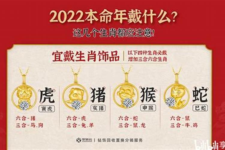 属蛇的本命年佩戴什么吉祥物最好