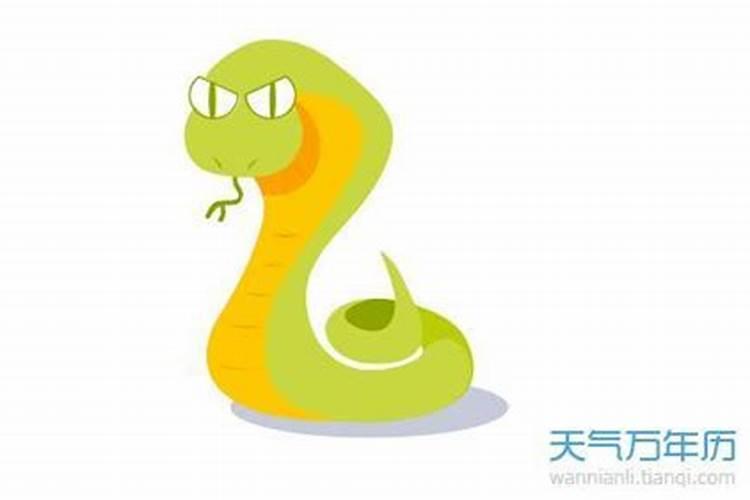 腊月蛇男的命运怎么样,12月出生的蛇命苦不苦