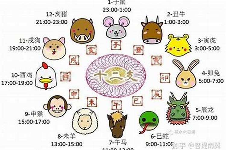 农历八月出生的属羊人命运