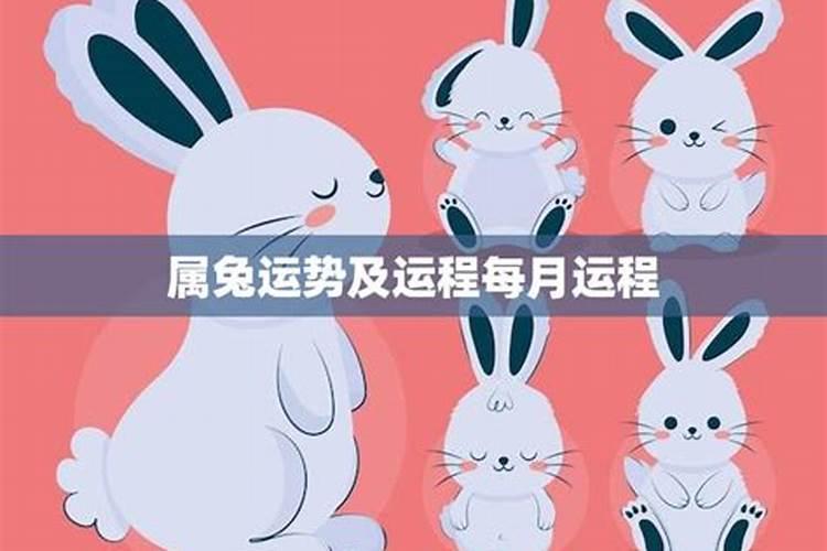 农历8月出生属羊人命好吗
