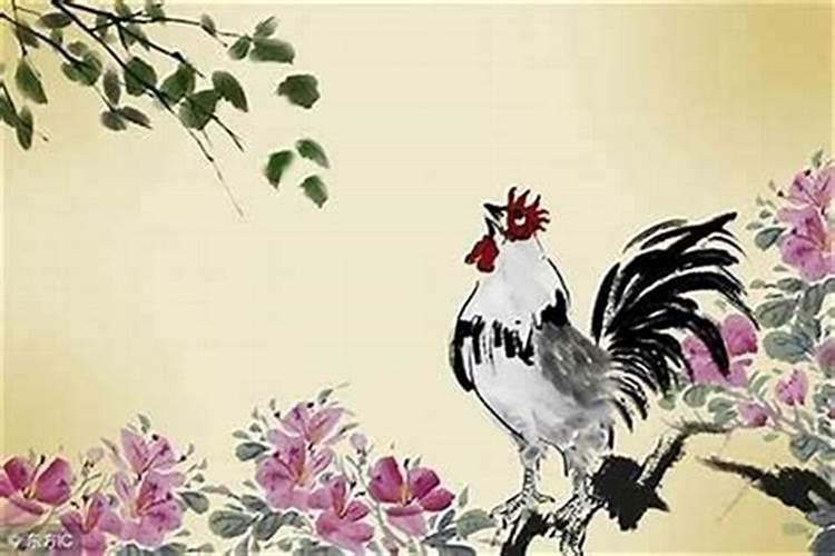属蛇的和属猪的在一起好吗？