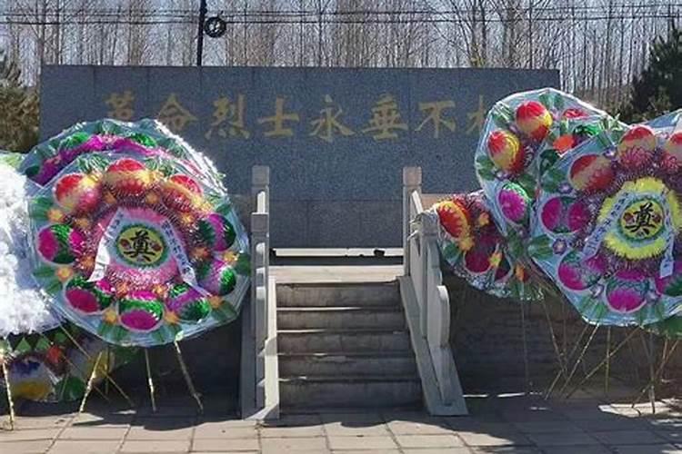 马和兔子属相合不合