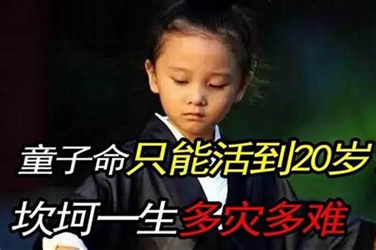 真童子的人生最后结局