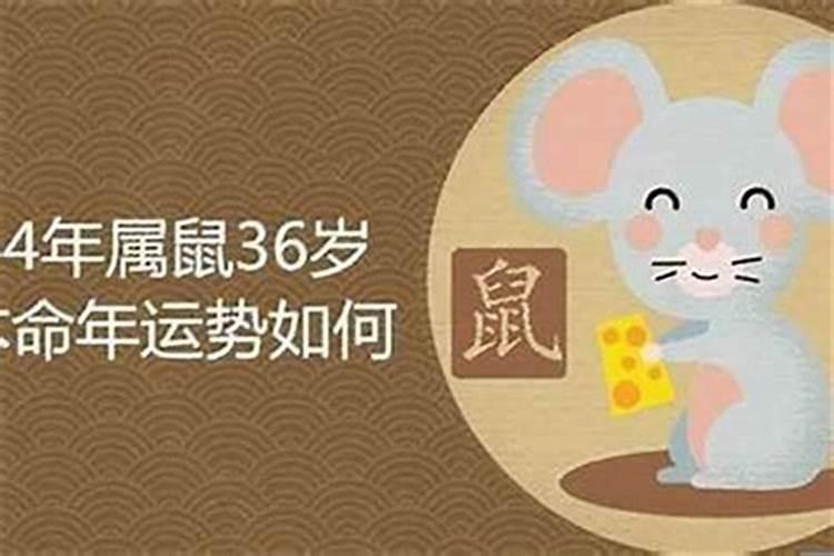 八字合婚属相不合化解方法 双方生肖合婚法？