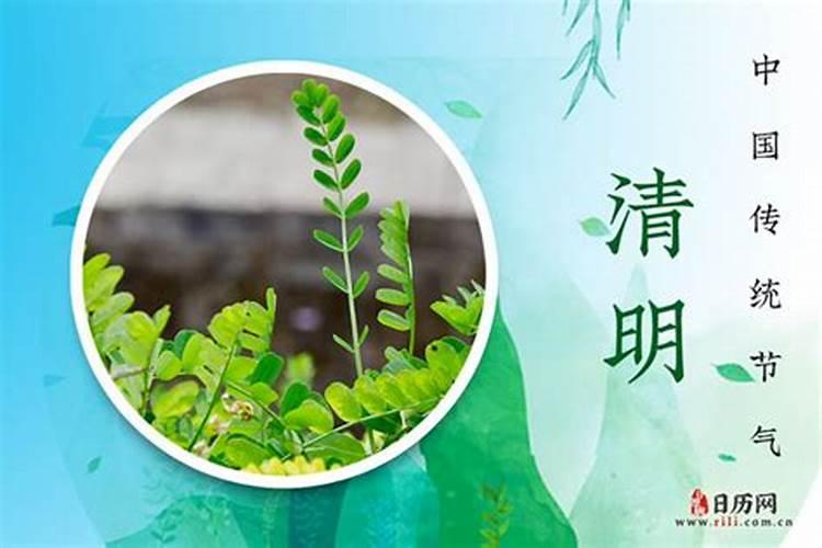 2025年清明节为什么不能上坟呢