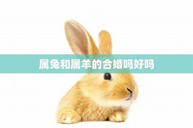 梦见父母意外双亡