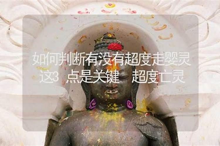 酒杯杯高来酒杯杯底是什么歌女声