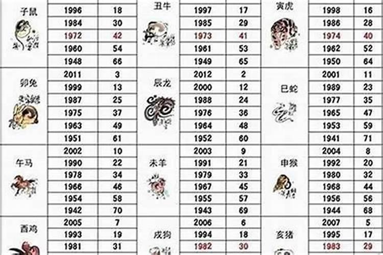 属狗的和什么属相最配