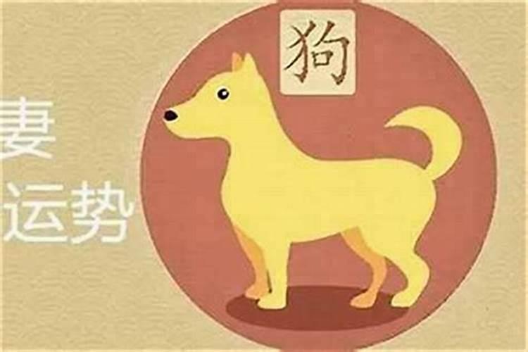 属狗的和什么属相最配