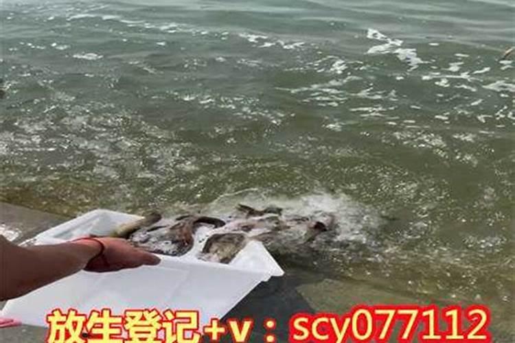 祈求好姻缘放生什么？