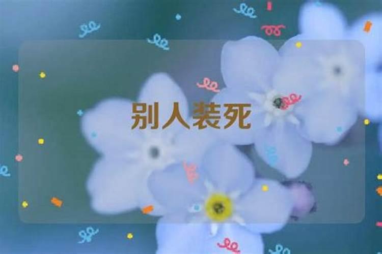 梦见有人装死