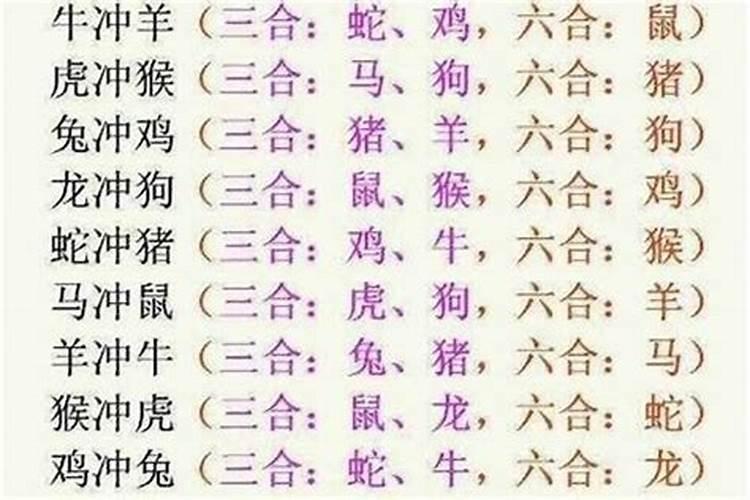 牛和狗是上等婚配吗 两人属相相刑