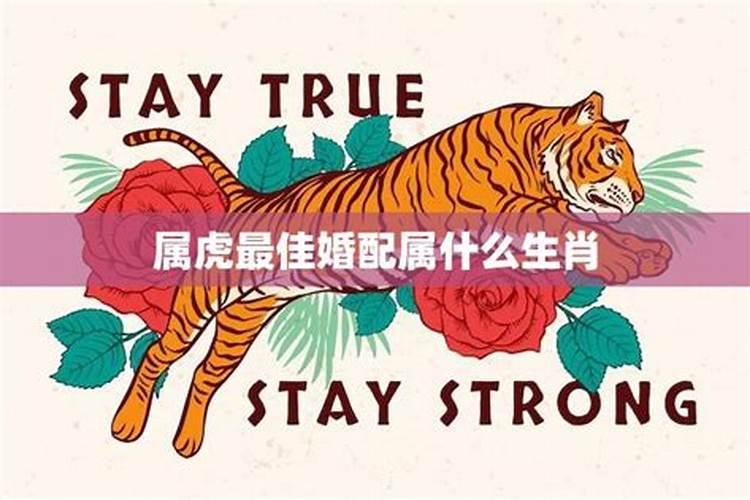 中秋节出生是什么星座？代表什么？