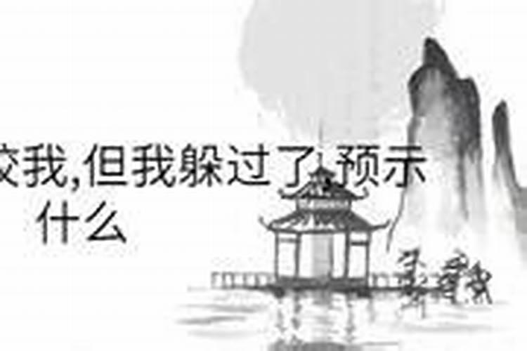 梦见自己被狮子追是什么意思？
