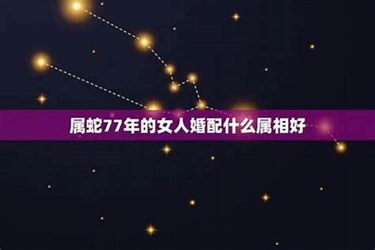 属蛇命中注定的姻缘蛇男狗女,属蛇男和属狗女的婚姻