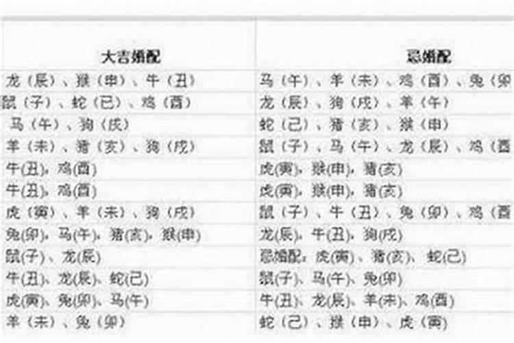 77年属蛇女和82属狗男婚姻如何