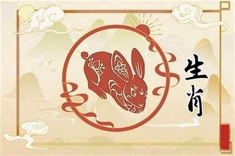 属兔人与什么属相配最好