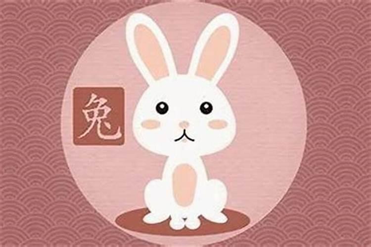 属兔的属相婚配表