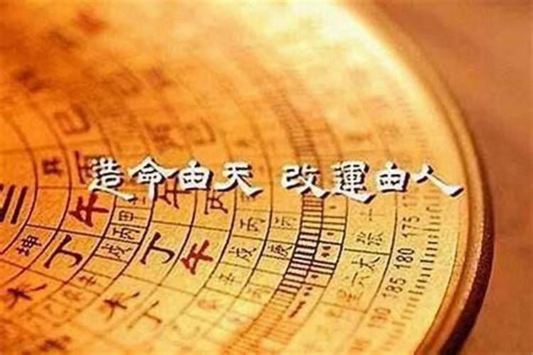 未时出生的属鸡人命运如何(13:0015:00)