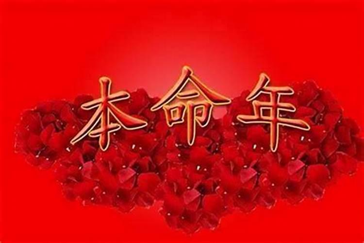蚂蚁森林怎么看小鸡多重了