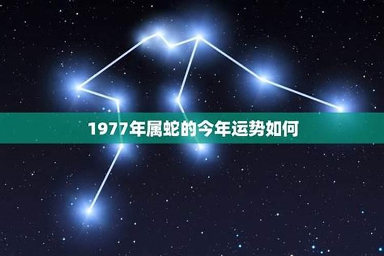 2025年属龙人的全年运势详解
