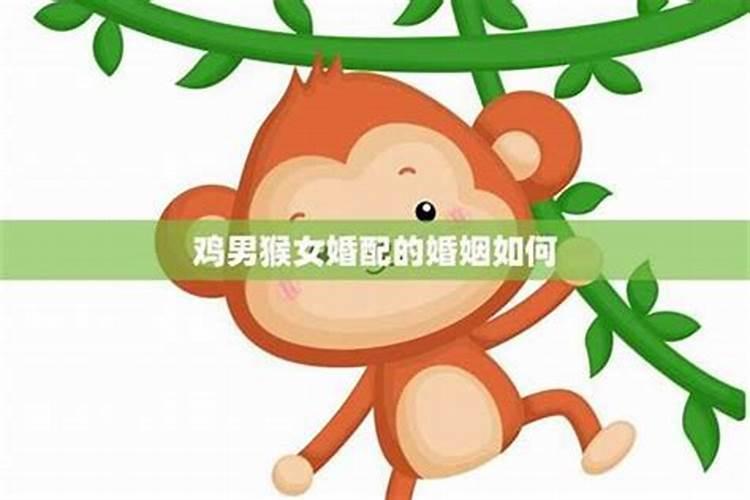 男属猴女属鸡以后合适吗,属猴男与属狗女婚配好不好