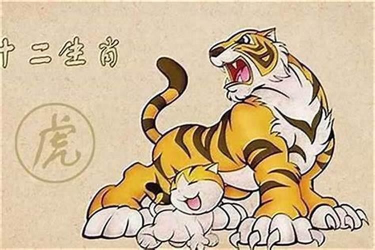 属龙人与属虎人结婚好吗