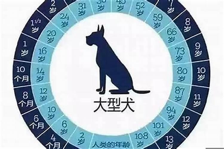 属狗的人2025年财运怎么样