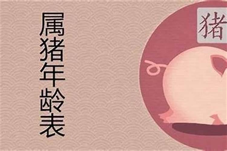 属猪人2024年有犯太岁吗 今年运势如何