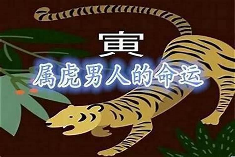属虎的几月出生最好