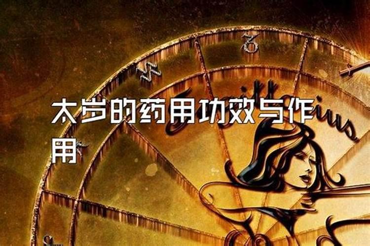 太岁是什么东西