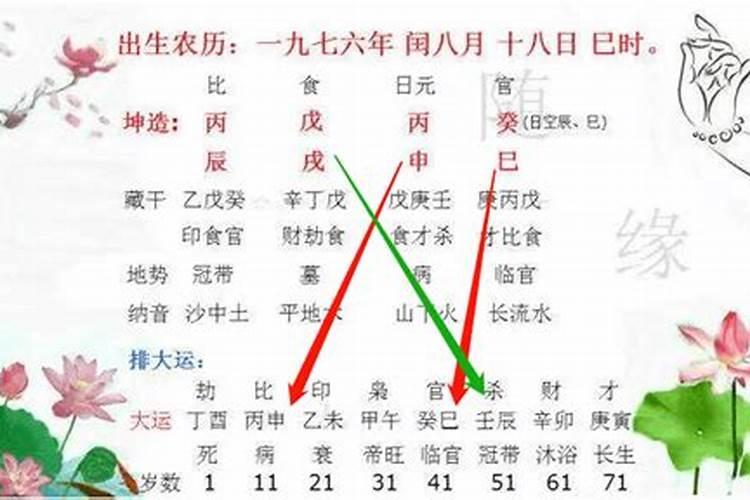 什么叫“岁运并临:？求答案