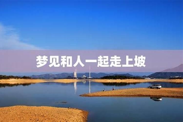 做梦梦到被白猫咬出血预示着什么