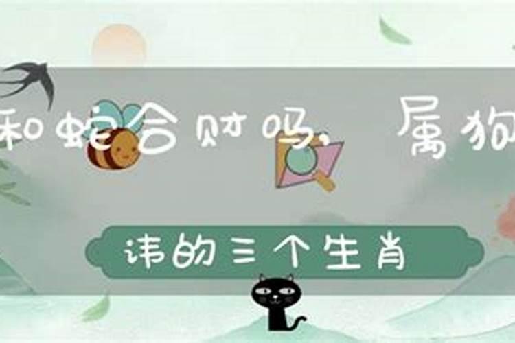 2024年犯太岁蕞凶在几月