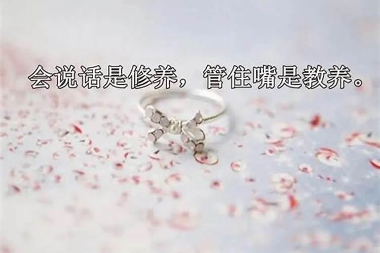 农历九月出生的属兔人运程如何