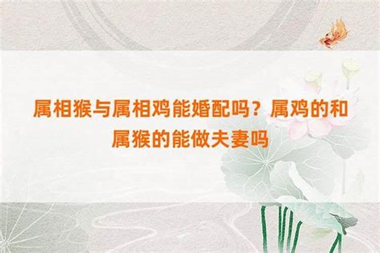 什么叫做刑太岁,命犯太岁是什么意思