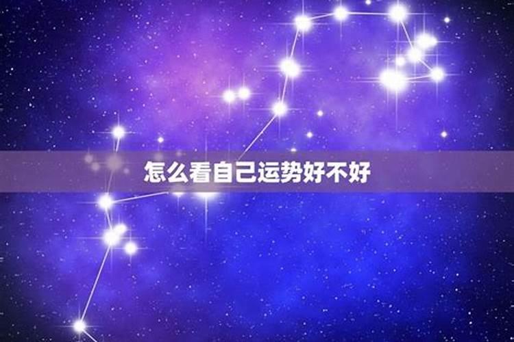 伤官不透天干能伤官生财吗