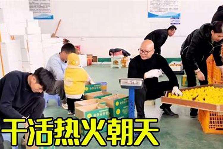 男八字乙未庚辰癸卯丙辰正走癸酉大运明年健康怎么样？
