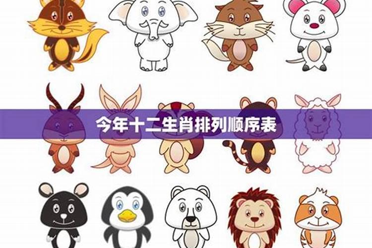 董易奇2024年十二生肖的运程
