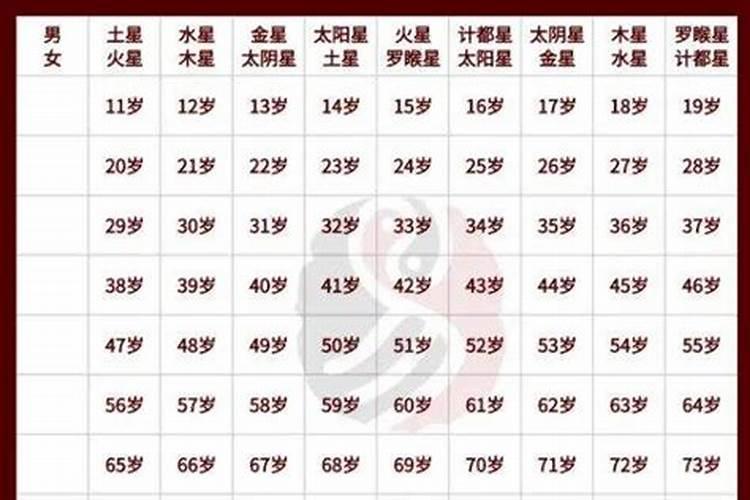 24年属兔的总体运程每月运程详解